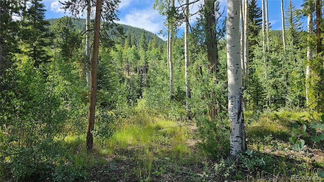 19039 Monarch River Dr, Salida, CO 81201 - photo 8