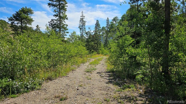 19039 Monarch River Dr, Salida, CO 81201 - photo 9