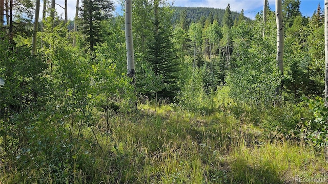 19039 Monarch River Dr, Salida, CO 81201 - photo 10