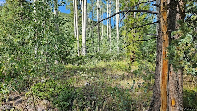 19039 Monarch River Dr, Salida, CO 81201 - photo 11