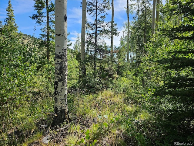 19039 Monarch River Dr, Salida, CO 81201 - photo 12