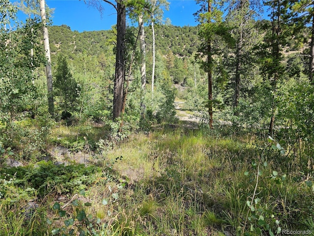 19039 Monarch River Dr, Salida, CO 81201 - photo 13