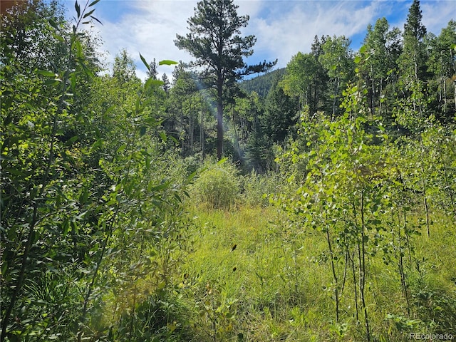 19039 Monarch River Dr, Salida, CO 81201 - photo 14