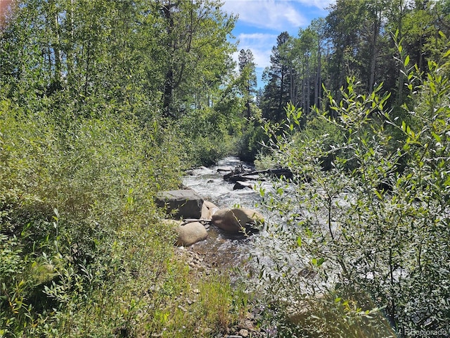 19039 Monarch River Dr, Salida, CO 81201 - photo 15