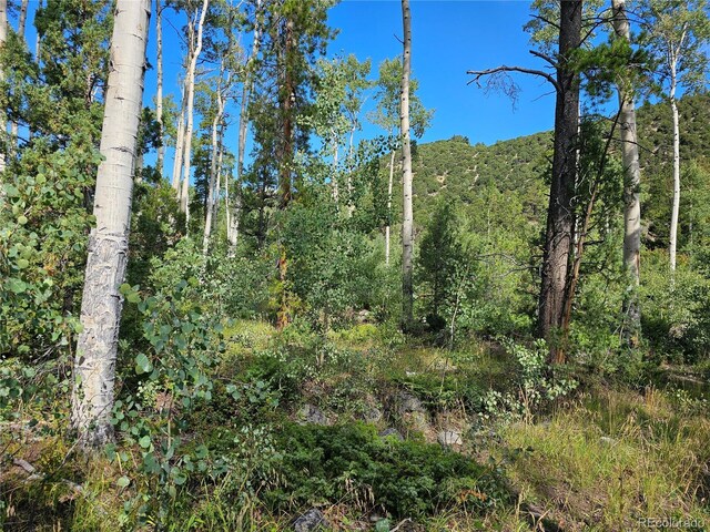 19039 Monarch River Dr, Salida, CO 81201 - photo 20