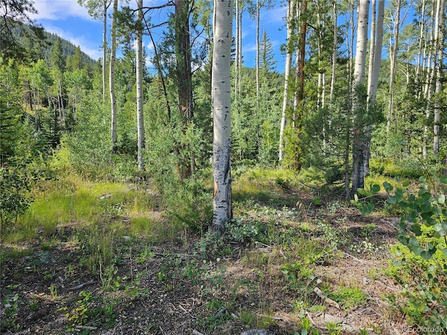 19039 Monarch River Dr, Salida, CO 81201 - photo 21