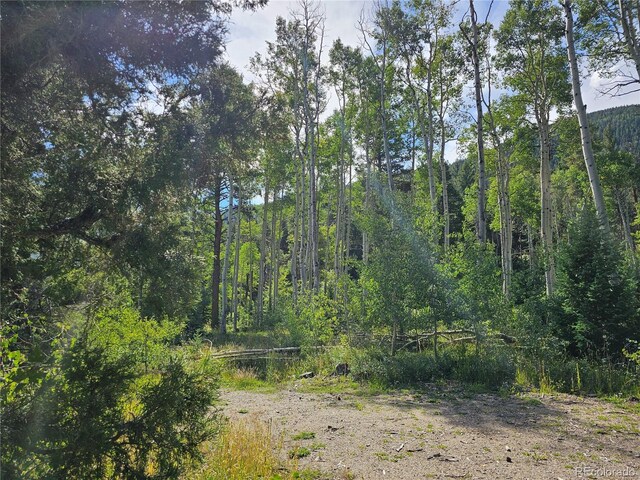 19039 Monarch River Dr, Salida, CO 81201 - photo 22