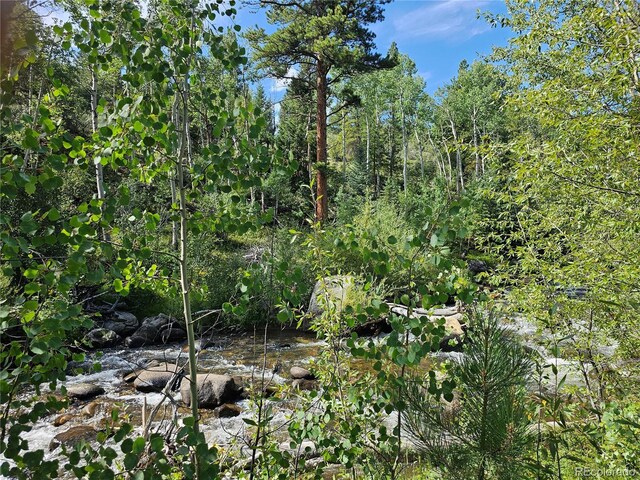 19039 Monarch River Dr, Salida, CO 81201 - photo 26
