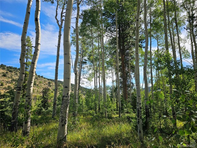 19039 Monarch River Dr, Salida, CO 81201 - photo 28