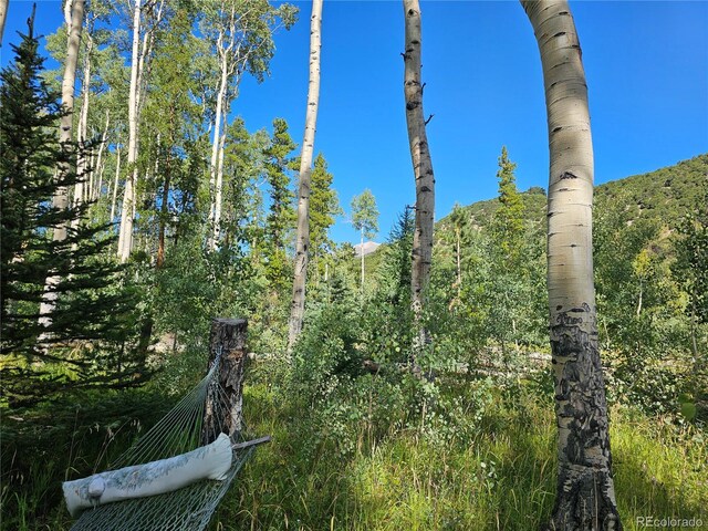 19039 Monarch River Dr, Salida, CO 81201 - photo 30