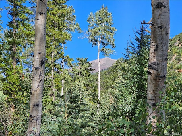 19039 Monarch River Dr, Salida, CO 81201 - photo 31