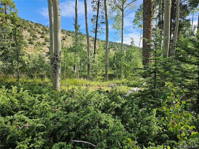 19039 Monarch River Dr, Salida, CO 81201 - photo 32