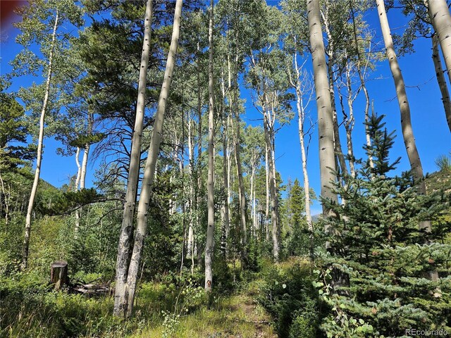 19039 Monarch River Dr, Salida, CO 81201 - photo 33
