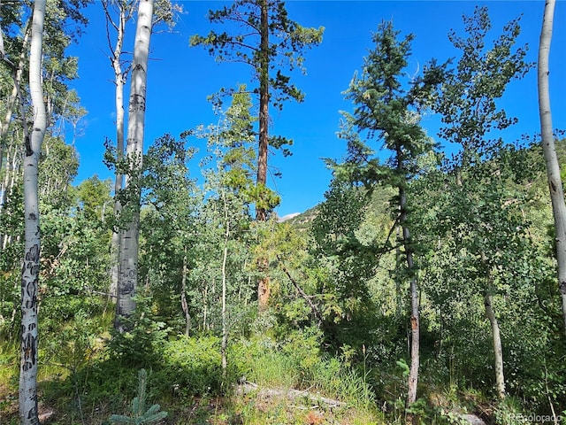 19039 Monarch River Dr, Salida, CO 81201 - photo 37