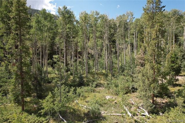 19039 Monarch River Dr, Salida, CO 81201 - photo 38