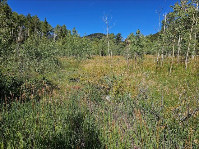 19039 Monarch River Dr, Salida, CO 81201 - photo 40
