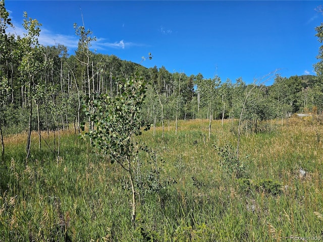 19039 Monarch River Dr, Salida, CO 81201 - photo 41