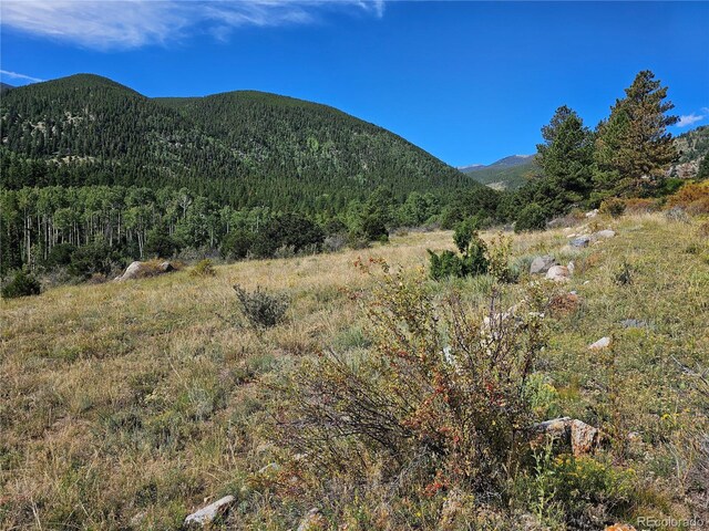 19039 Monarch River Dr, Salida, CO 81201 - photo 42