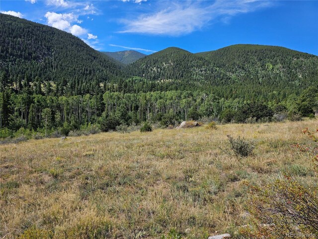 19039 Monarch River Dr, Salida, CO 81201 - photo 43