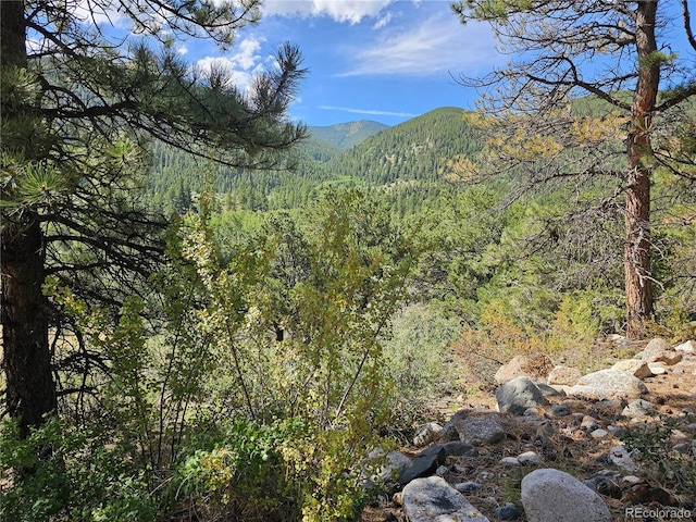 19039 Monarch River Dr, Salida, CO 81201 - photo 45