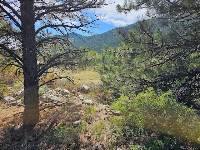19039 Monarch River Dr, Salida, CO 81201 - photo 46