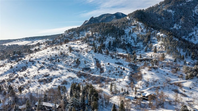 315 Arapahoe Ave Unit 202, Boulder, CO 80302 - mountain view