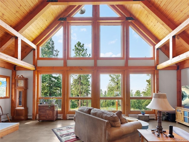 515 Lionsbrooke Ln, Pine, CO 80470 - photo 8
