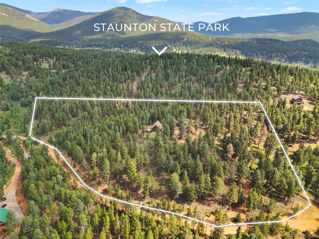 515 Lionsbrooke Ln, Pine, CO 80470 - photo 40