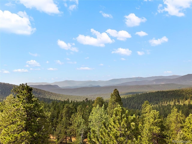 515 Lionsbrooke Ln, Pine, CO 80470 - photo 43