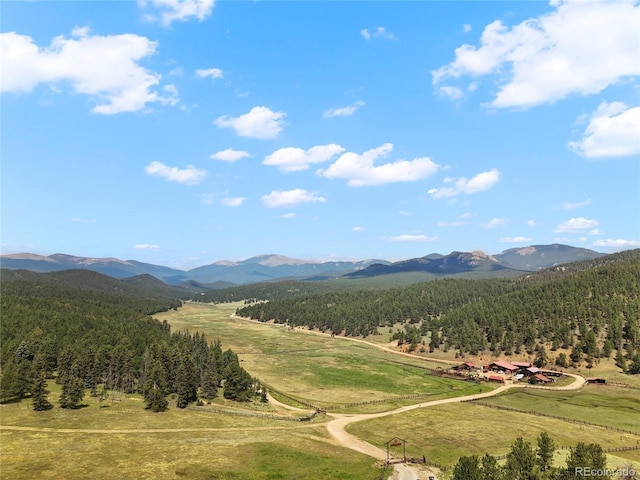 515 Lionsbrooke Ln, Pine, CO 80470 - photo 44