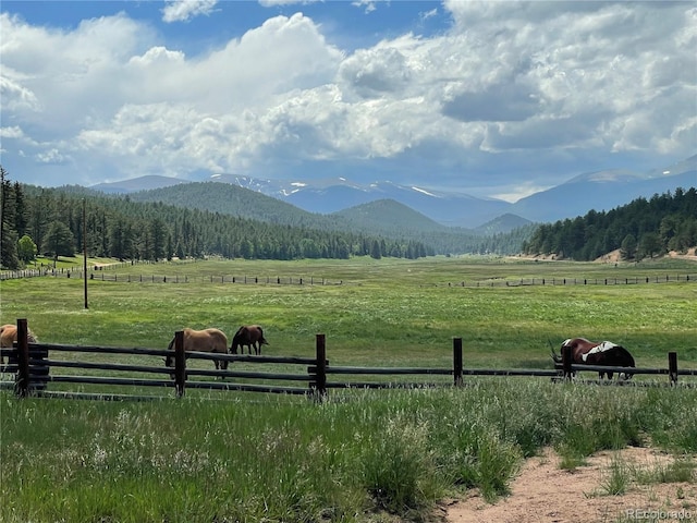 515 Lionsbrooke Ln, Pine, CO 80470 - photo 46