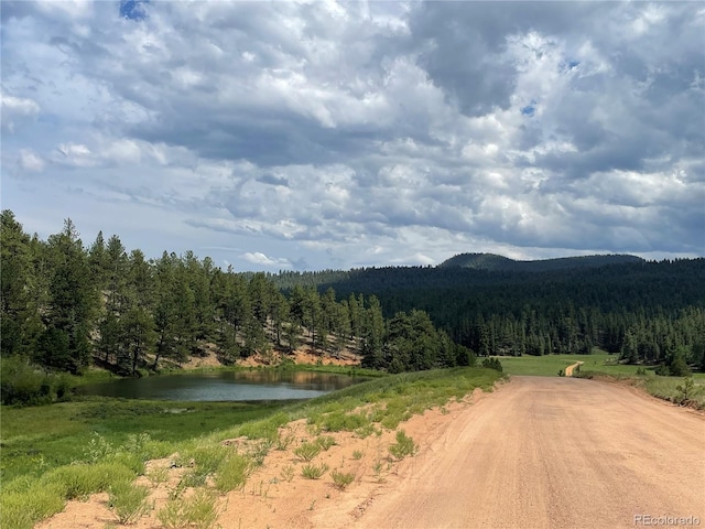 515 Lionsbrooke Ln, Pine, CO 80470 - photo 48
