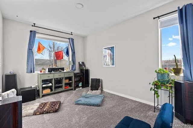 view of carpeted home theater room