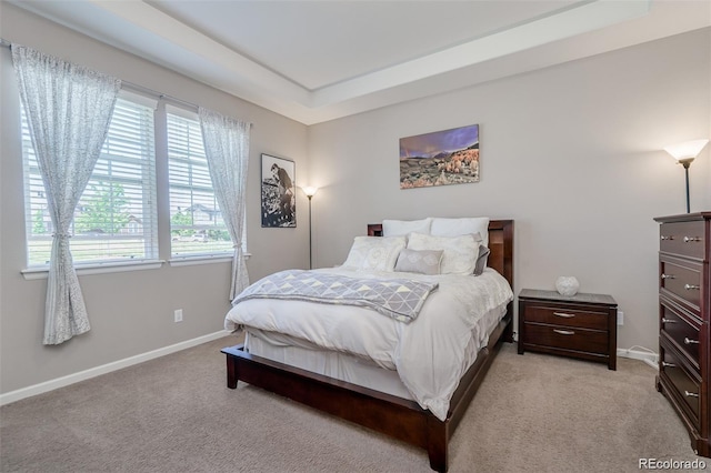 bedroom featuring baseboards, a raised ceiling, and light colored carpet