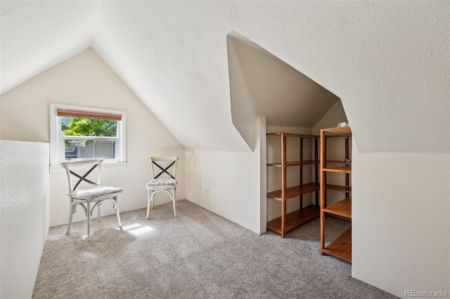 2119 W Pikes Peak Ave, Colorado Springs, CO 80904 - bonus room featuring carpet floors and vaulted ceiling