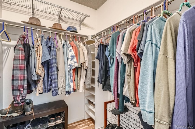 8101 S San Juan Range Rd, Littleton, CO 80127 - walk in closet featuring wood finished floors