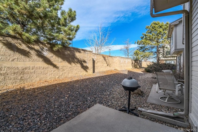 view of yard with a fenced backyard and a patio