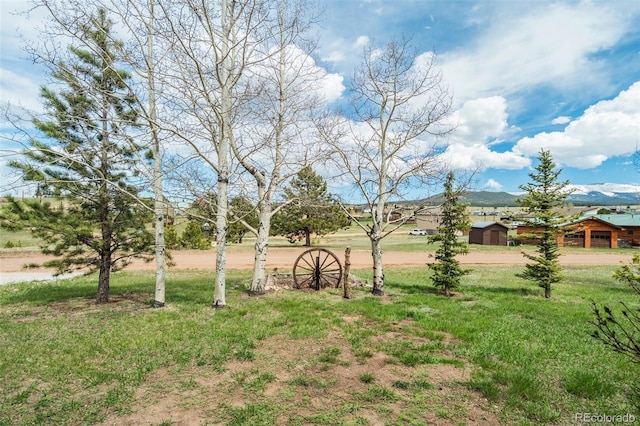 65 Yeoman Ln, Divide, CO 80814 - view of green lawn with a mountain view
