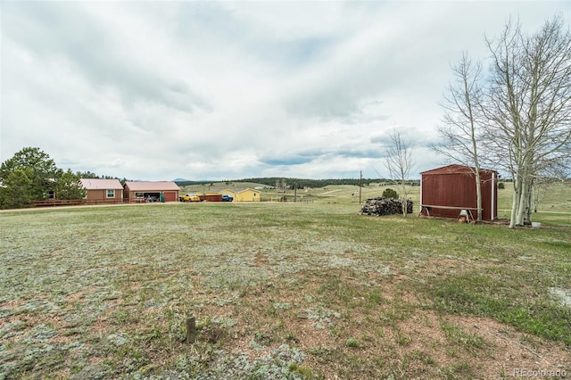 65 Yeoman Ln, Divide, CO 80814 - view of green lawn