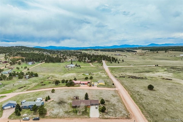 65 Yeoman Ln, Divide, CO 80814 - overview of rural landscape with a mountain backdrop