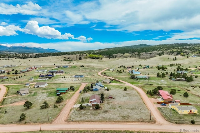 65 Yeoman Ln, Divide, CO 80814 - overview of rural landscape featuring mountains