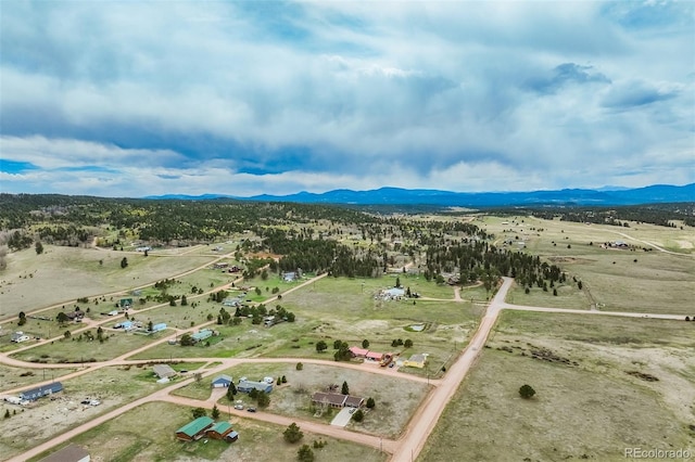 65 Yeoman Ln, Divide, CO 80814 - view of rural area featuring mountains