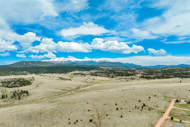 65 Yeoman Ln, Divide, CO 80814 - view of mountain backdrop