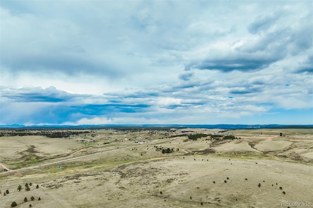 65 Yeoman Ln, Divide, CO 80814 - bird's eye view