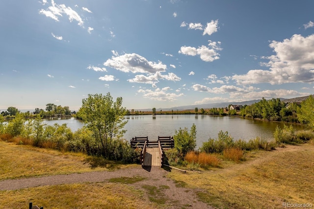 water view featuring a boat dock