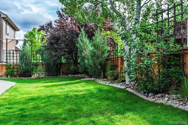 9882 S Hoyt Ct, Littleton, CO 80127 - view of yard
