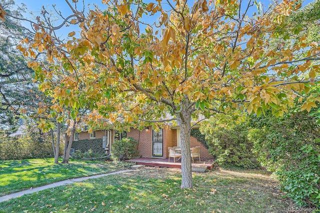 obstructed view of property featuring a front yard