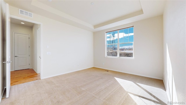 spare room with light carpet and a raised ceiling