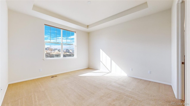 spare room featuring a raised ceiling and light carpet