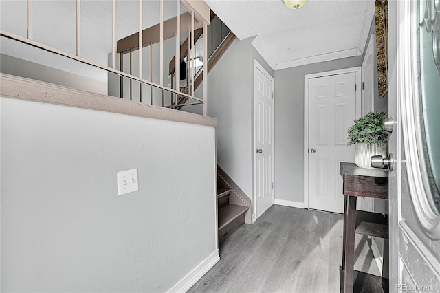 entryway featuring wood-type flooring